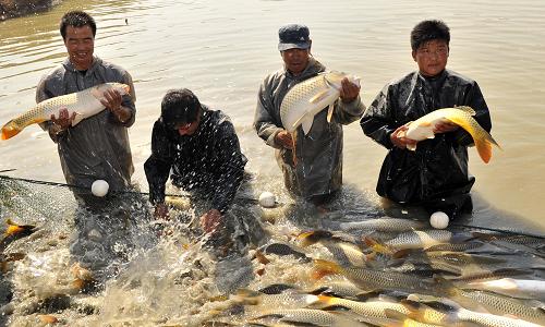 中国远洋渔业发展的若干问题探讨