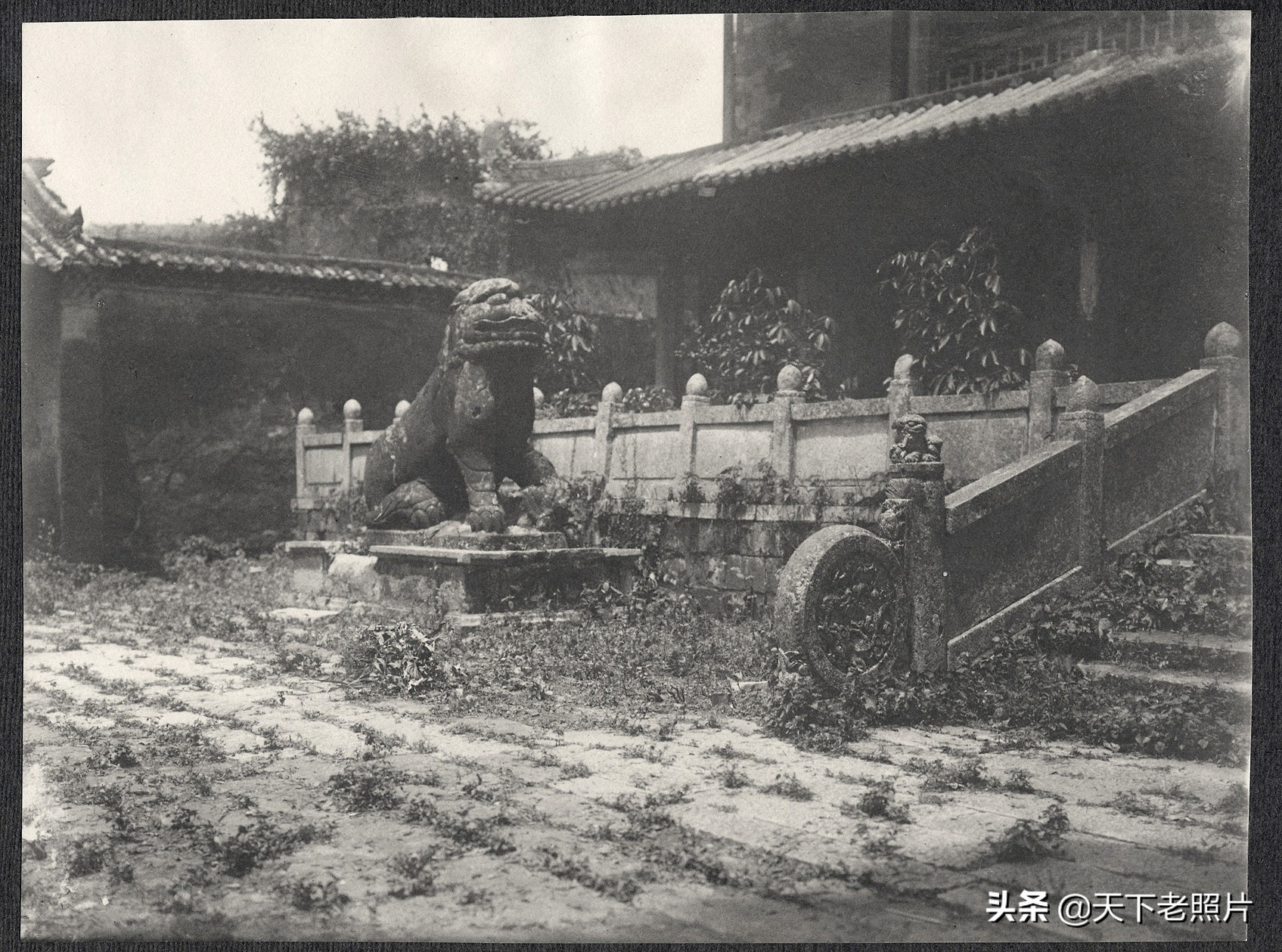 1905年的广州照 美国政府代表团访华时随行拍摄