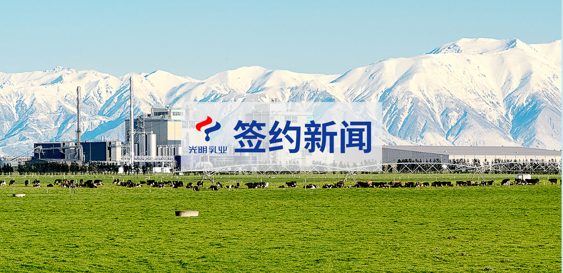 光明乳业选择泛微数字化办公平台