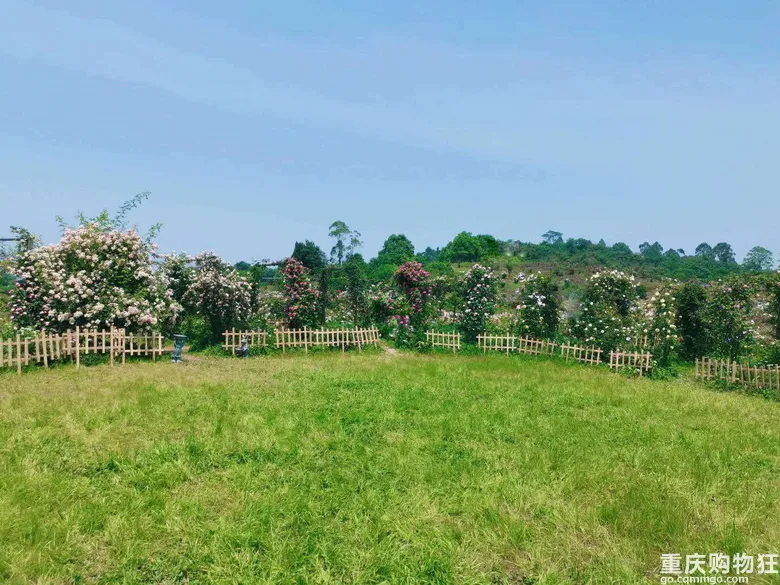 重庆旅游攻略在重庆打卡全世界的最强攻略来了