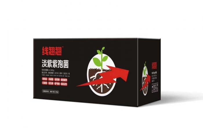 如何防治柑橘根結(jié)線蟲，淡紫紫孢菌生物防治根結(jié)線蟲