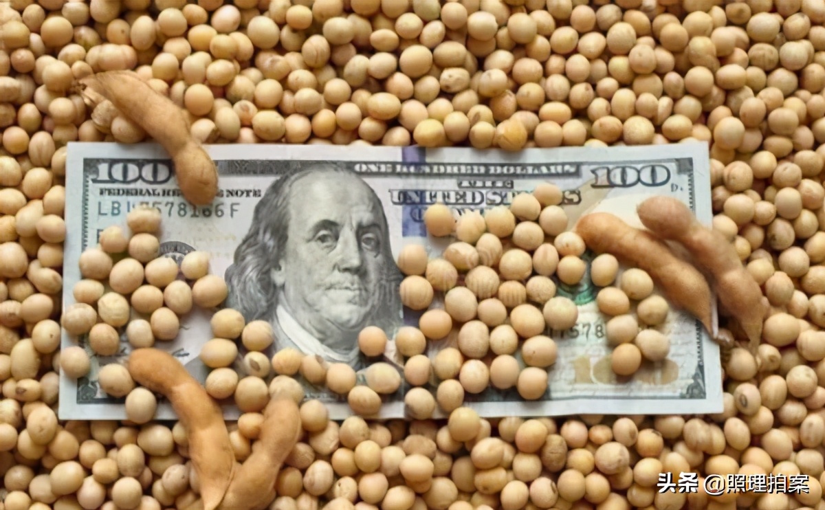 美國糧食計划算盤落空！ 中國不是菲律賓、韓國日本，早就未雨綢繆