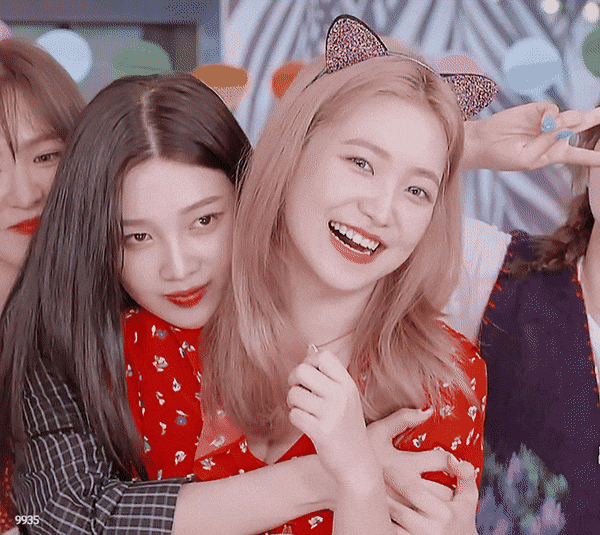 600_535gif 动态图 动图