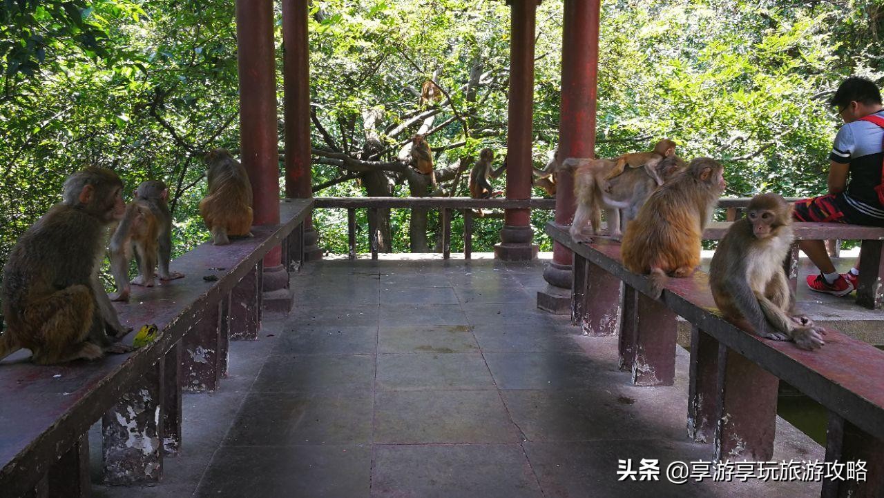 来到贵阳旅游如何避坑，本地人教你轻易避开雷区。网友：学到了