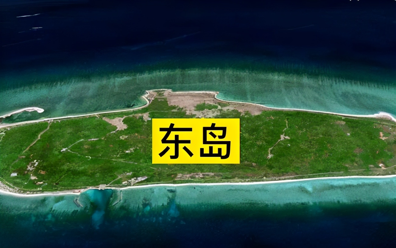 西沙東島發(fā)現(xiàn)400頭野牛，從哪來(lái)？小軍艦鳥(niǎo)數(shù)量銳減與之有關(guān)嗎？