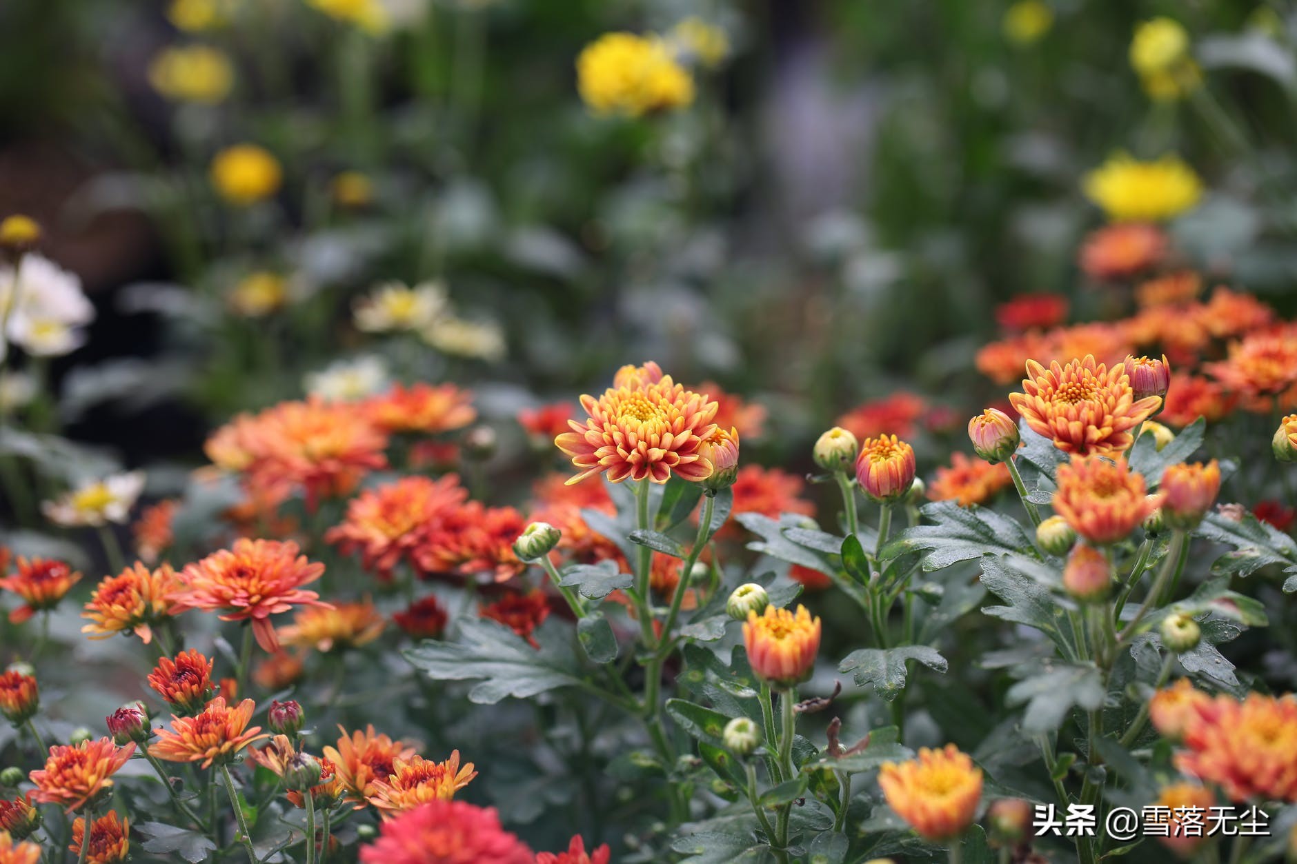 一個家若想越過越好，關鍵看一點