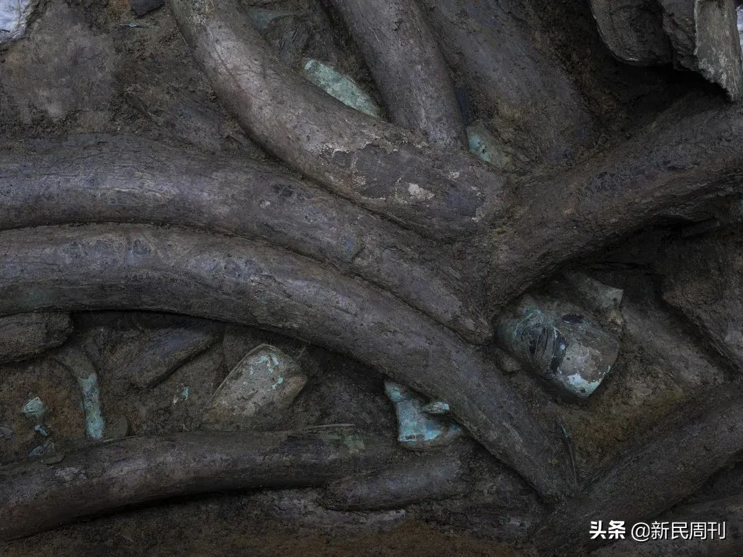 三星堆到底是怎么来的？
