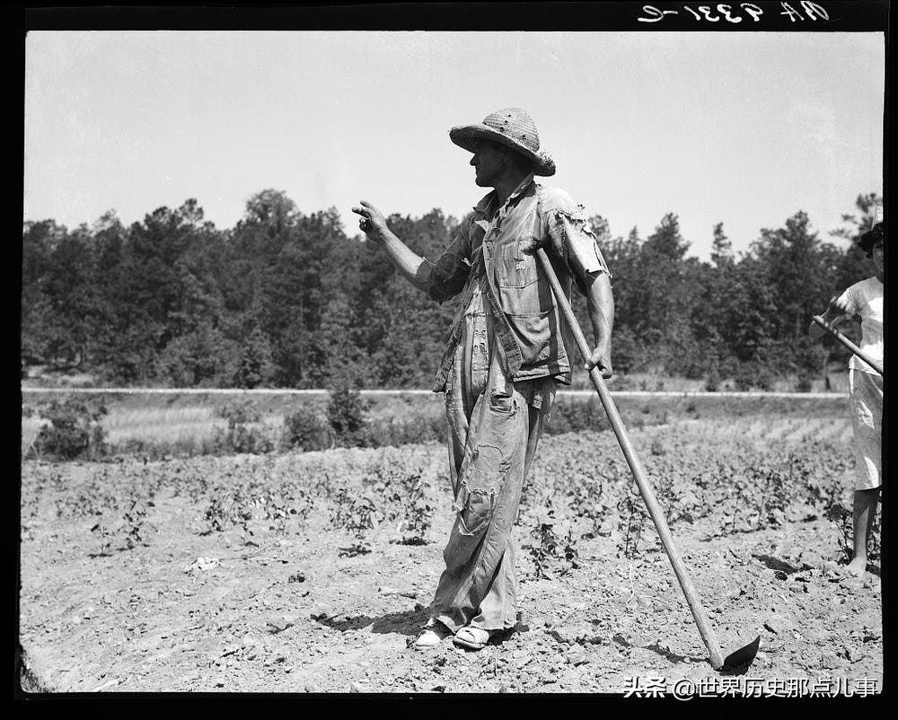 大萧条时期：美国政府专门聘请了一群摄影师拍