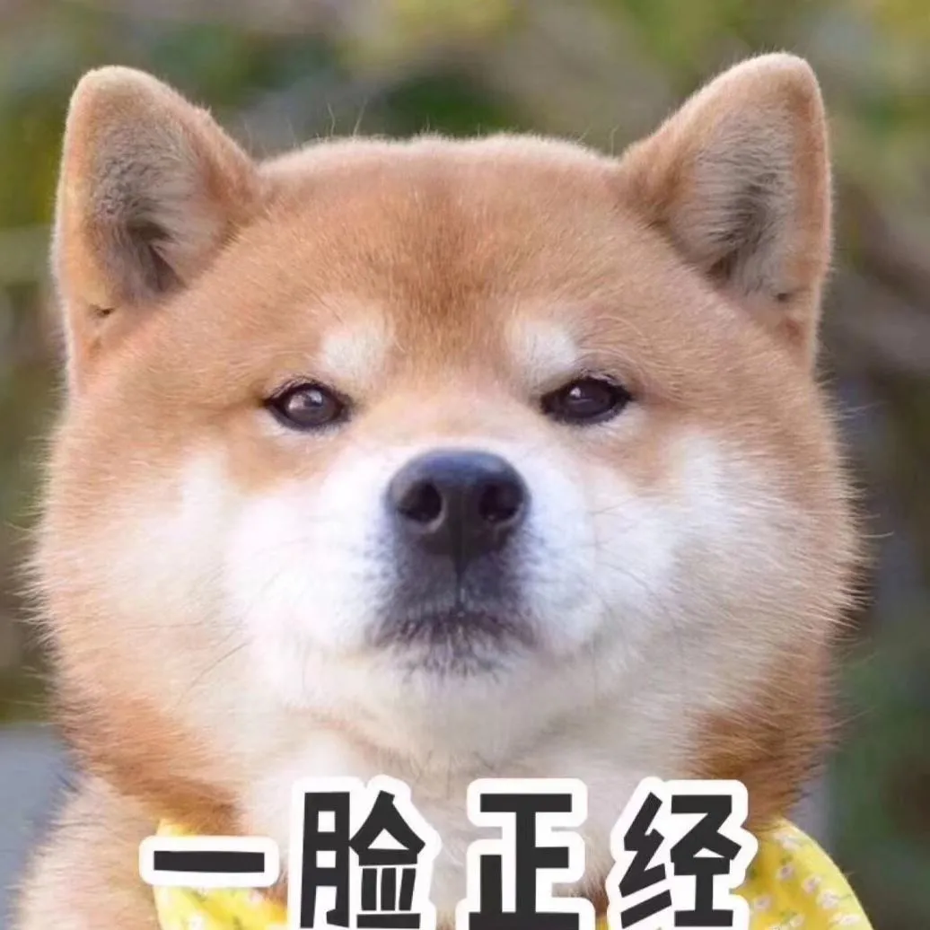 2020年SEM小搜投放指南：竞价小渠道你做到极致了吗？