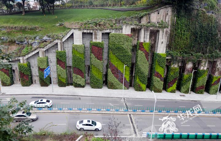 昔日杂草丛生如今美如画卷 看山城坡坎崖如何“挂毯”变身