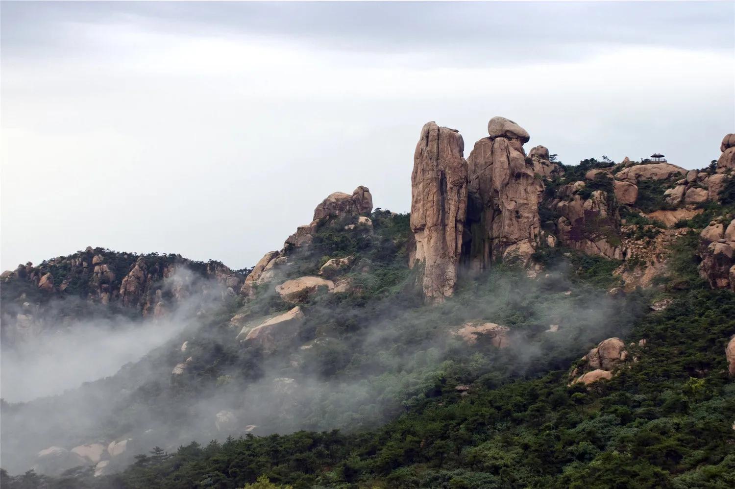 五蓮九戒壯黑豬散養(yǎng)基地