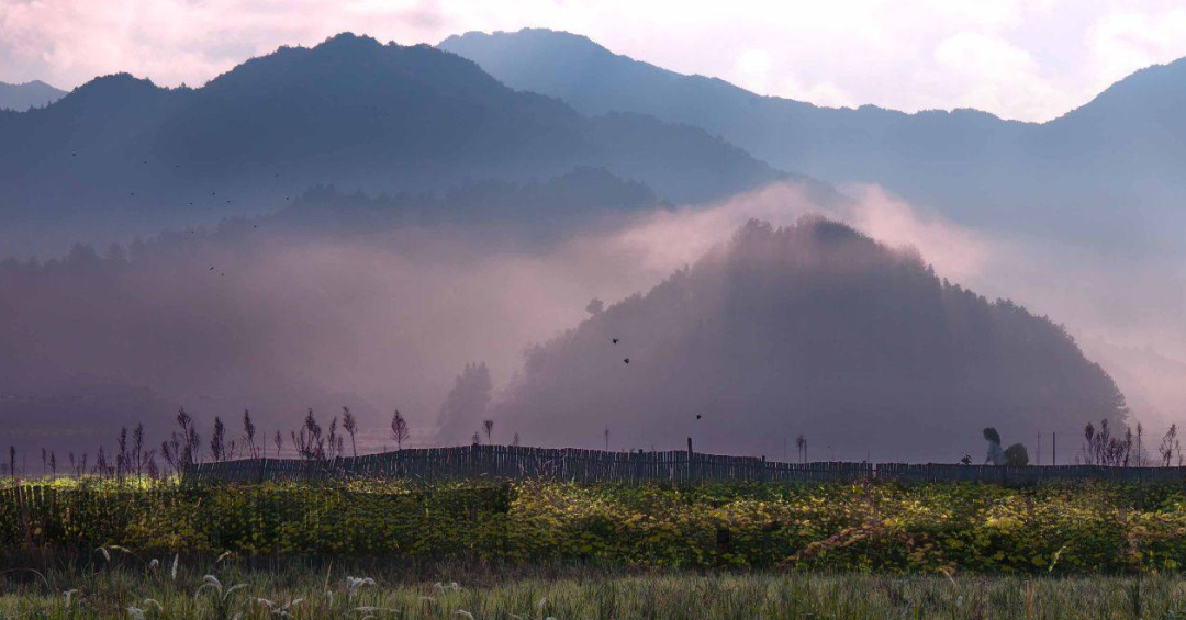 美丽乡村+垃圾围村？