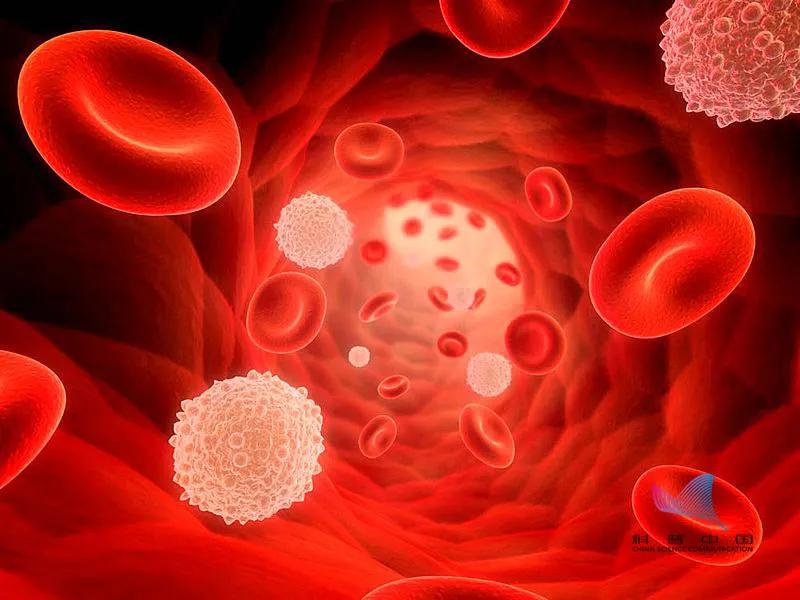 看血型就可以預測癌症？ 如果你是這兩种血型，那要留意了