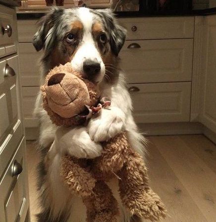 搞笑段子：若再不改过，我就是先生的先生了！