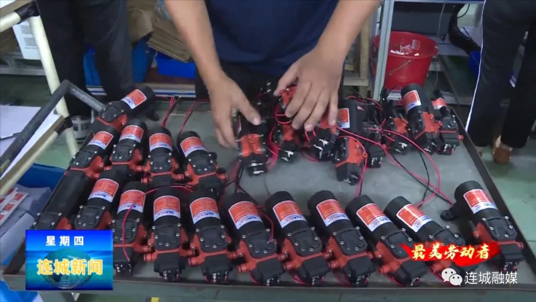 「最美劳动者」钱震煌：甘当勤奋踏实的“小蜜蜂”