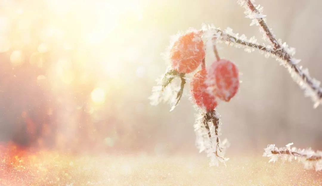 100句雪诗词，遇见最美冬天-第6张图片-诗句网