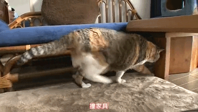 豆瓣9.0，风靡岛国十年，国民女神集体为它沦陷