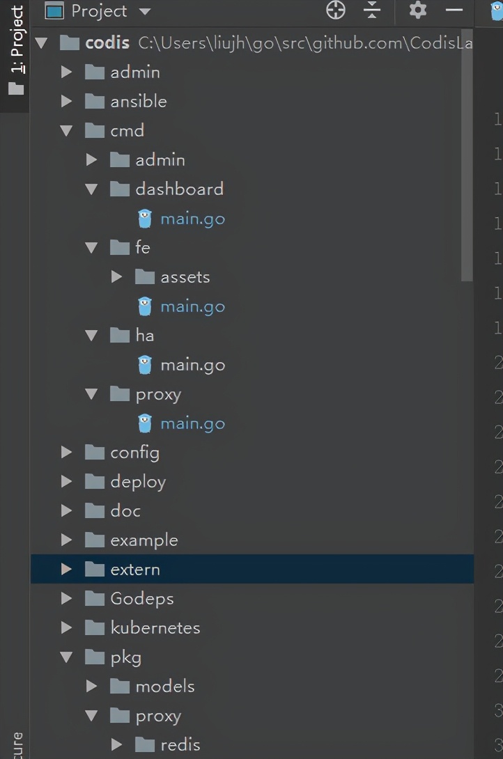Codis源码分析之环境篇
