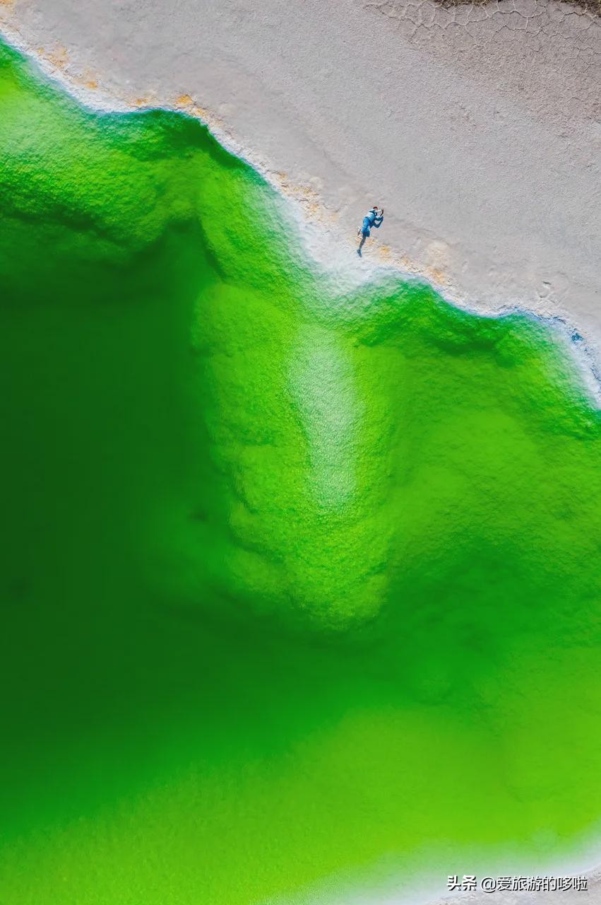 青海值得旅游的地方 青海湖最佳旅游月份(圖22)
