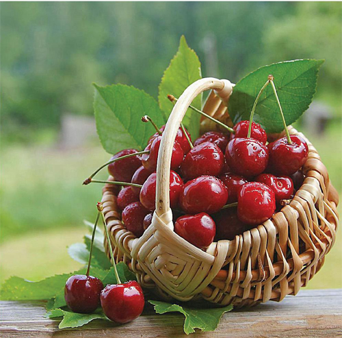 The car a unit of monthly interest rate that publishs hot search child, it is actually in Tang poetry more precious