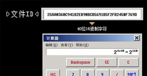 别再问我什么是 BT 种子了！一次性全告诉你