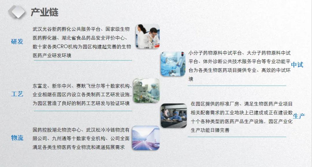 光谷国际生物医药产业基地：超前布局 抢占精准医疗高地