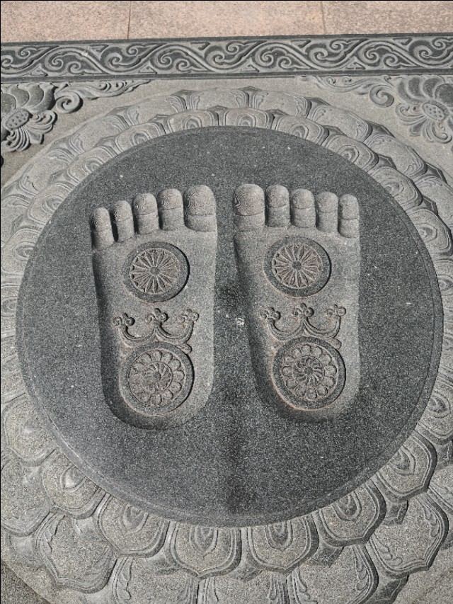 ��������| ������һ�ݣ���ʥ�˶��ִ��