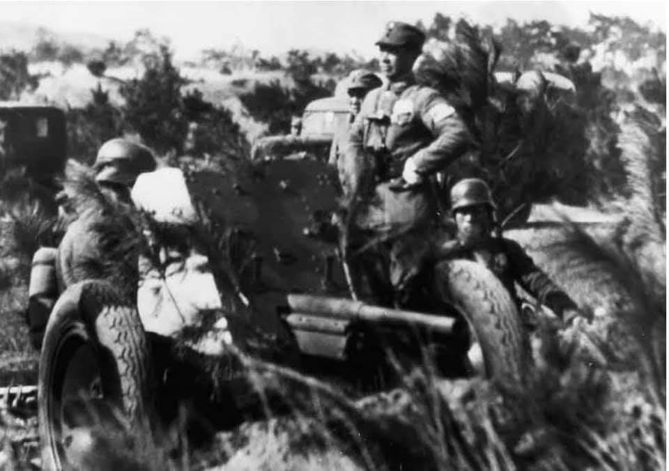 抗日战场上的三七战防炮：单炮可挡8辆日军坦克，秒杀豆战车