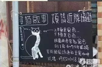 我收集的这些寻猫启示脑洞太大了,我就想问,你画的是什么?