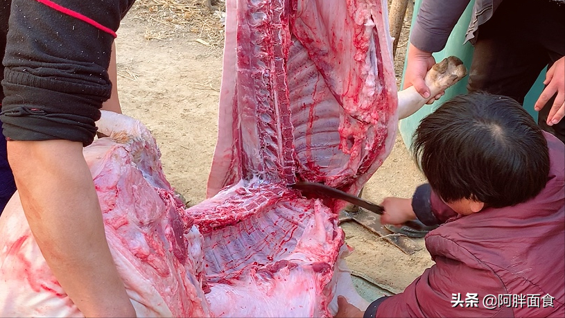 餃子餡好吃有秘訣，從選肉到調餡手把手教你，不腥不柴，鮮嫩多汁