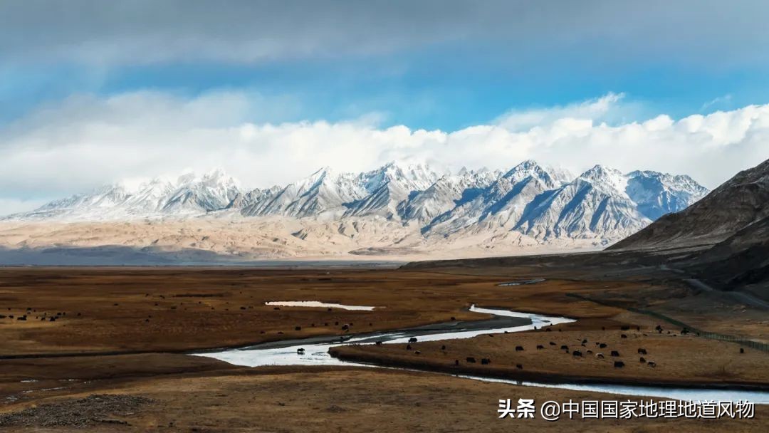 Why do you say "you have not been to Xinjiang if you have not been to Kashgar"?
