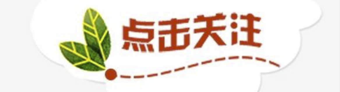 大年初八，八仙过海，各显神通，牛年如何练出自己的神通
