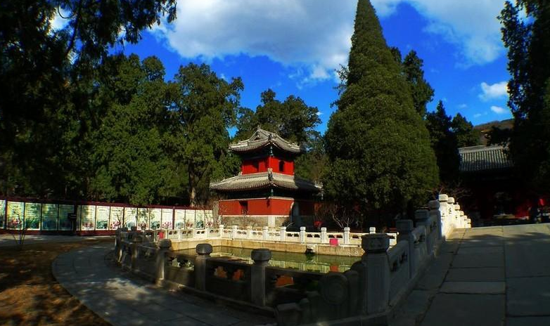 李啸龙 | 北京香山植物园-第3张图片-诗句网