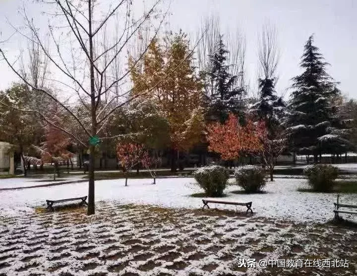 甘肃初雪|甘肃18所高校初学雪景大PK,快来看看有你的母校没?