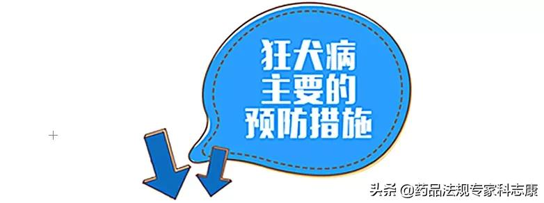 9.28 世界狂犬病日