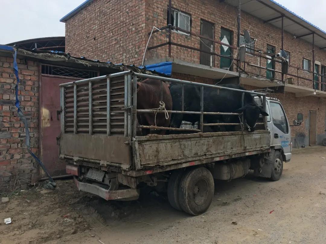 ������˵��ţ���������������˧�壬�У���