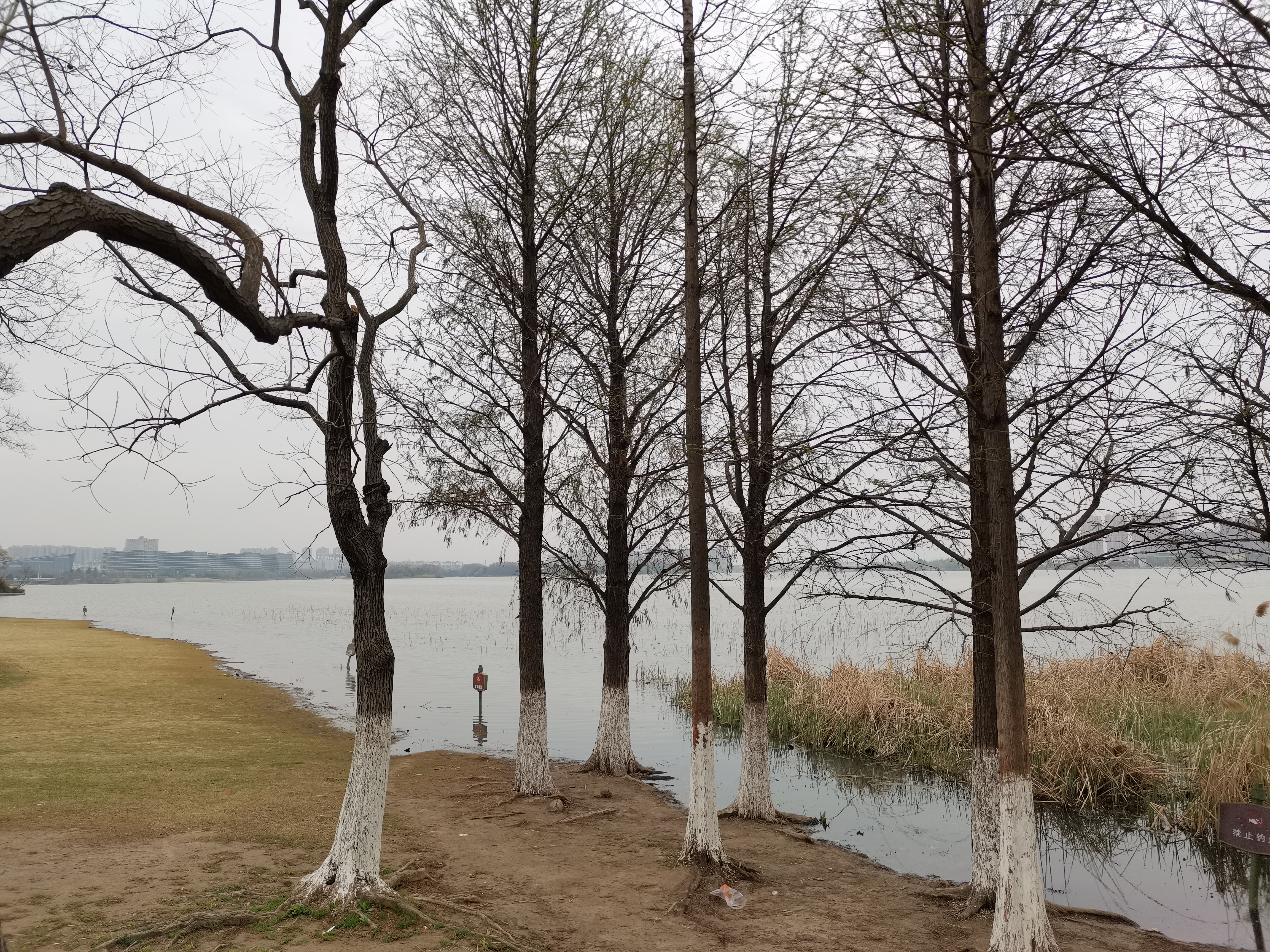 荣耀30S上手体验之工程师奇遇记，你没见过的全新生活化测评