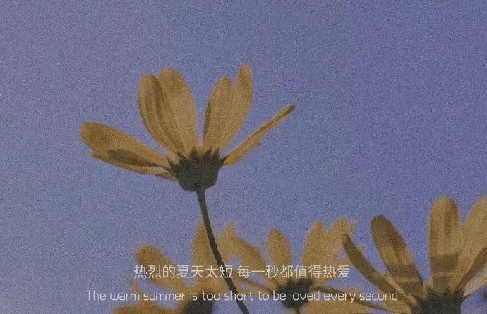 Picture of small letter background