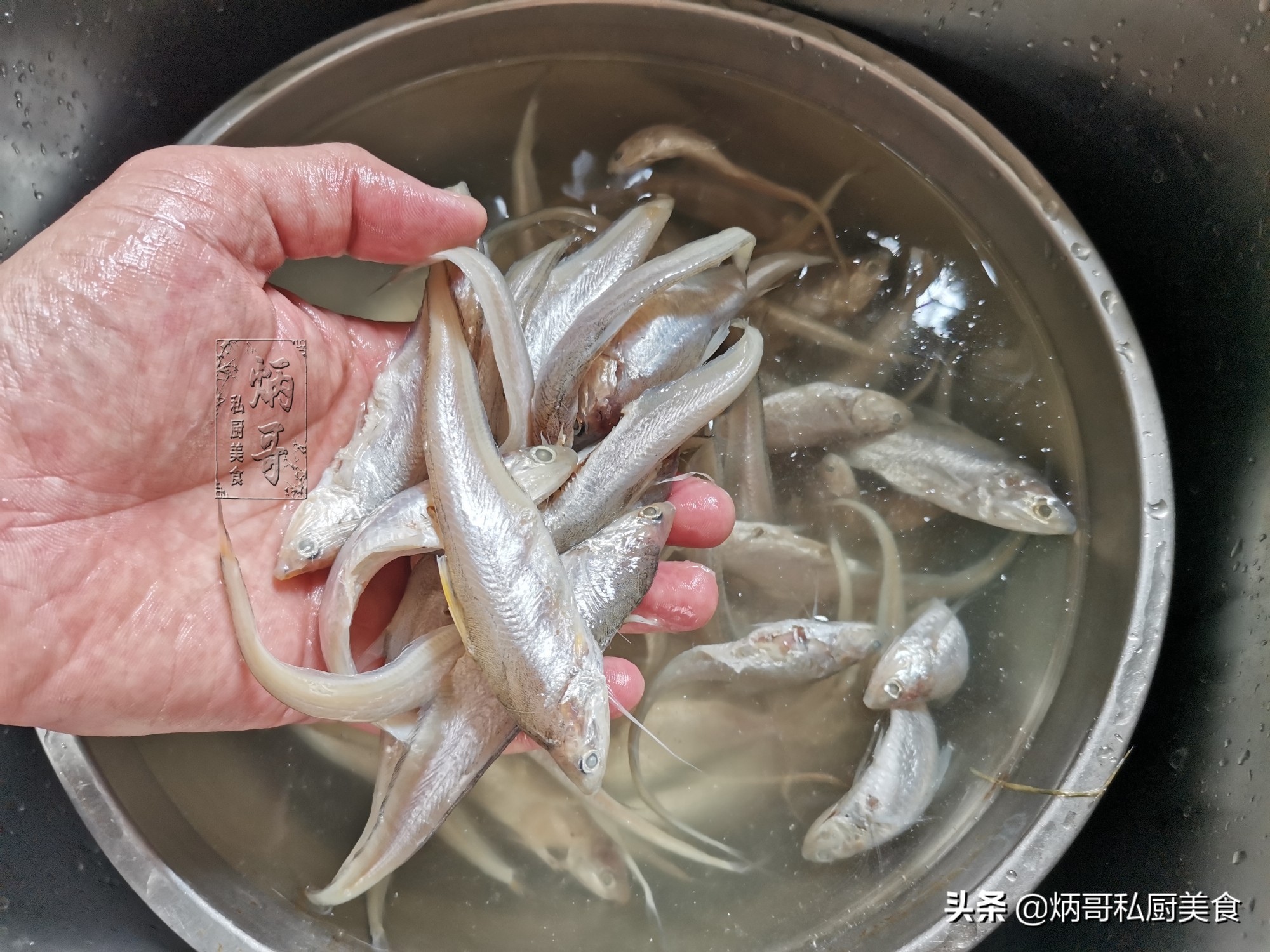 I never bargain with this fish, 15 yuan per catty, fried bones are crispy, high in calcium and good nutrition