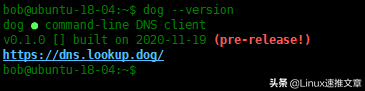 Dog-用于DNS查詢的命令行工具