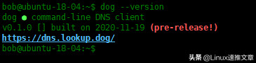 Dog-用于DNS查询的命令行工具