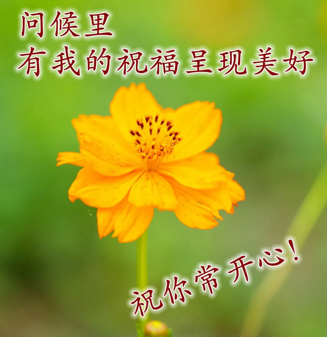 早上好文案配图片,早上好朋友圈正能量句子简短图片