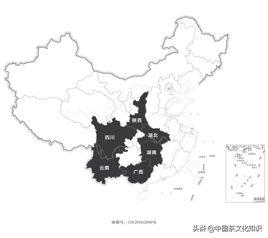 一篇文章看完全中國99%的茶（一定要收藏）