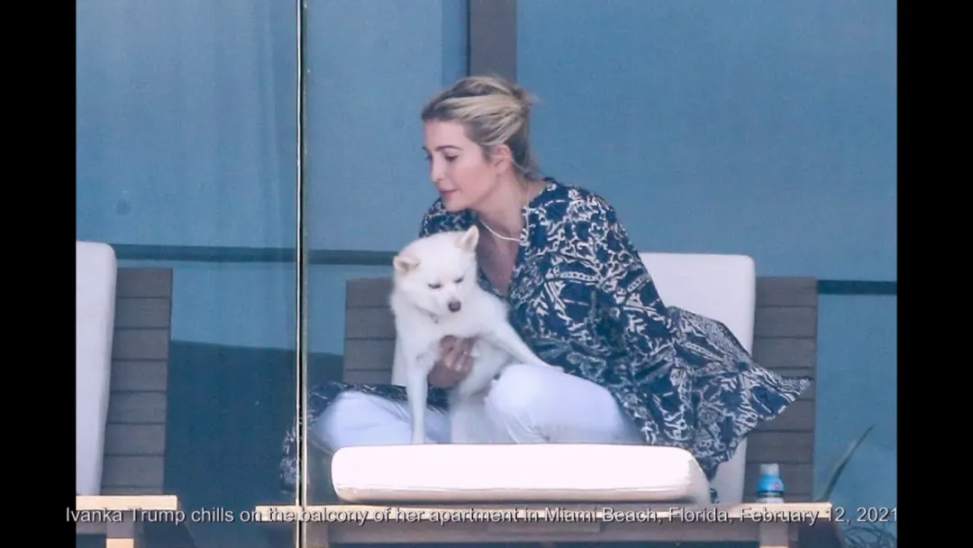 川普退休“妻离子散”？孤身曝再选总统，妻女