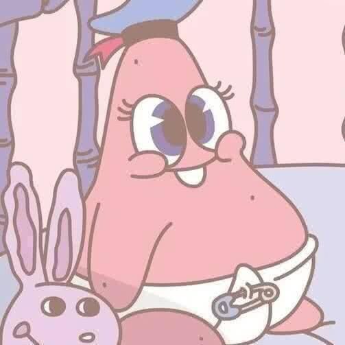 Big star of sponge darling and clique