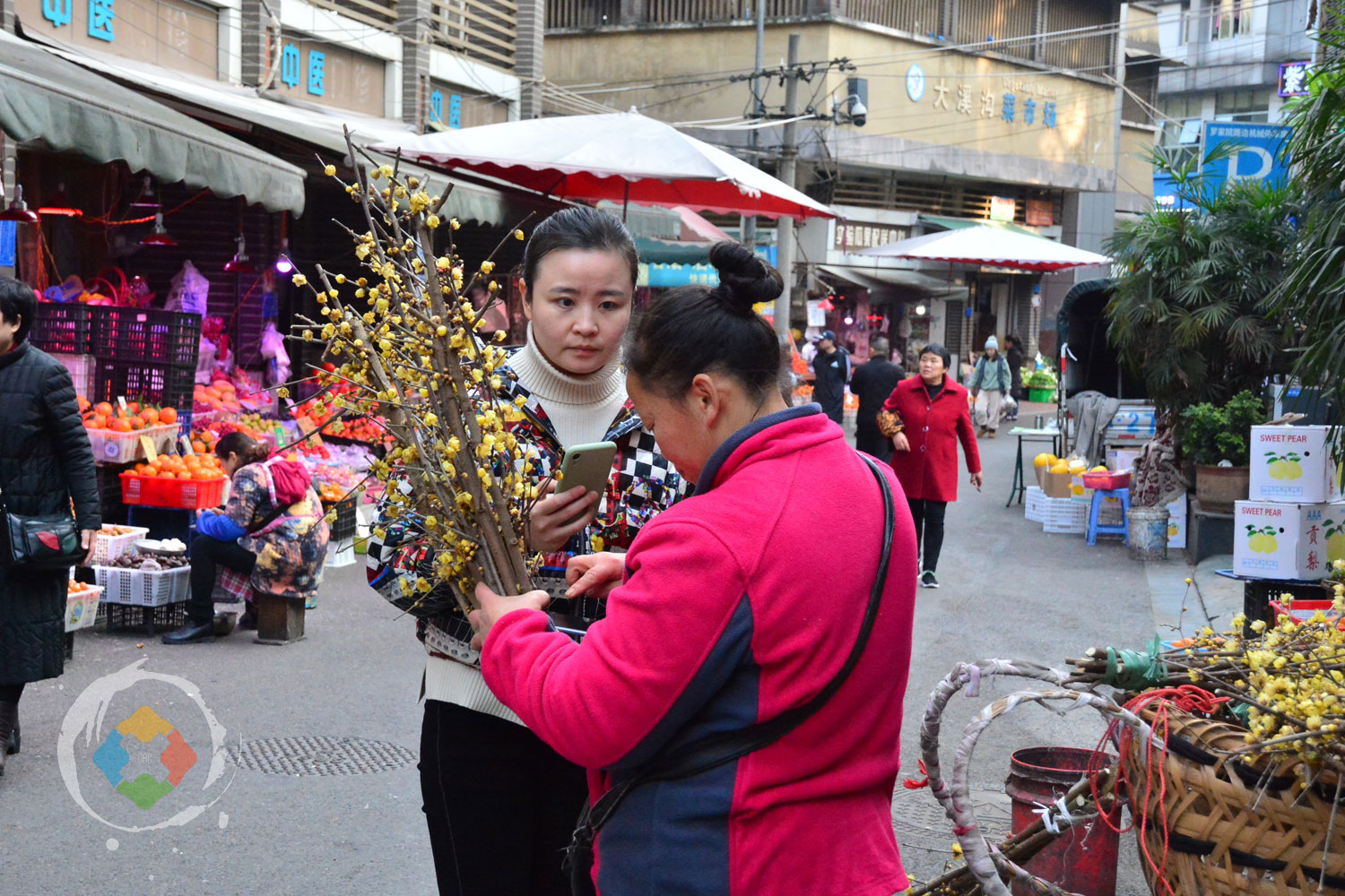 网红重庆的冷门线路：2条步道2碗面，10个景点告诉你大溪沟的魅力