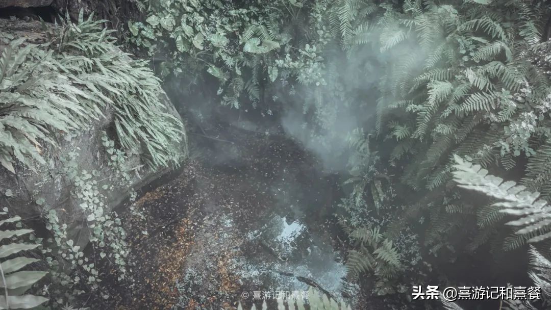 去了八次廈門之后，告訴你這30件事最值得