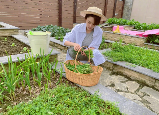 Zhang Xin grants: Brave the wind and waves at the same time, at the same time Gui Yintian changes field personally " vegetable grower " kind 7 kinds of season are vegetable