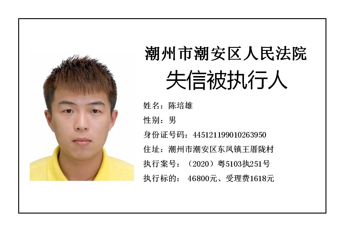 潮州市潮安区人民法院发布2020年第五批失信被执行人公告