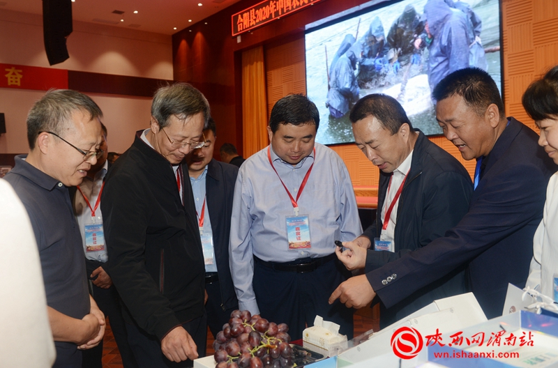 合陽縣2020年農民豐收節(jié)產銷對接會成功舉辦 簽約9個項目 金額達1.2億元（組圖）